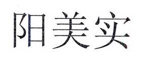 阳美实