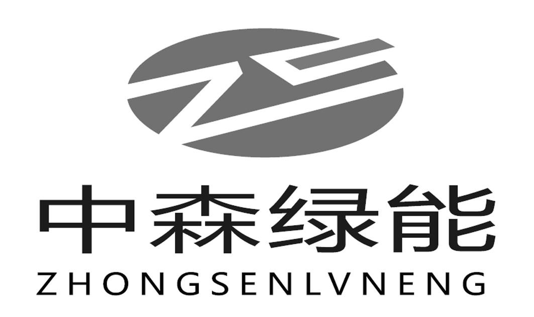 zs中森绿能_企业商标大全_商标信息查询_爱企查