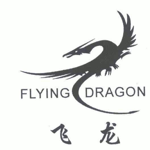  em>飞龙 /em>; em>flying /em> em>dragon /em>