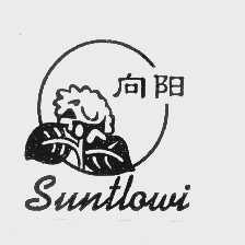 em>向阳/em em>suntlowi/em>