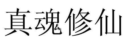 真魂_企业商标大全_商标信息查询_爱企查