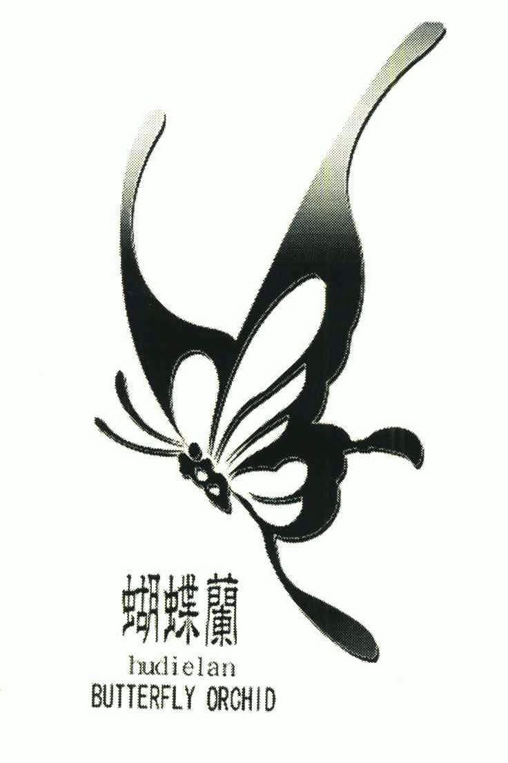 蝴蝶兰; em>butterfly /em>  em>orchid /em>