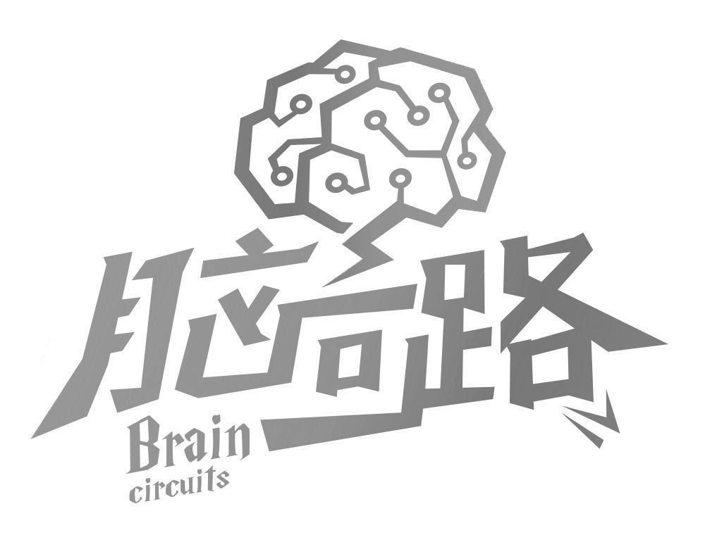  em>脑回路 /em> brain circuits