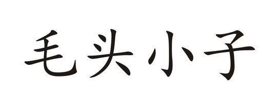 毛头 em>小子/em>