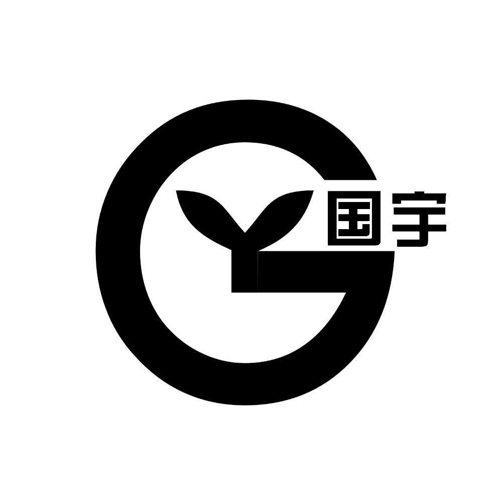 国宇g