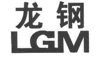 em>龙钢/em em>lgm/em>