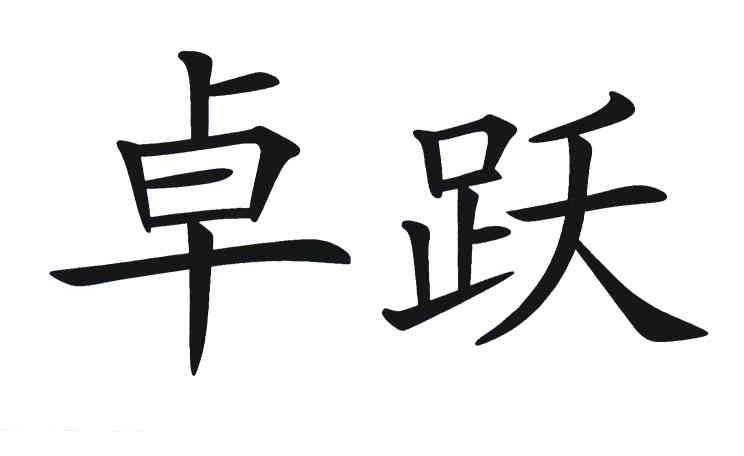 第09类-科学仪器商标申请人:湖南 卓跃新材料有限公司办理/代理机构