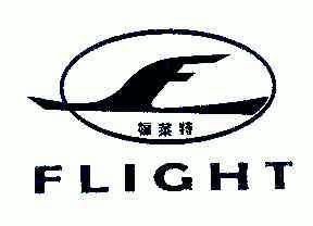 em>福莱特/em em>flight/em;飞行