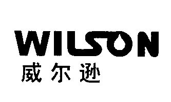 威尔逊;wilson