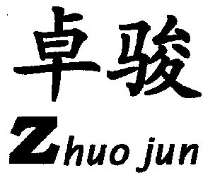 卓骏;zhuo jun