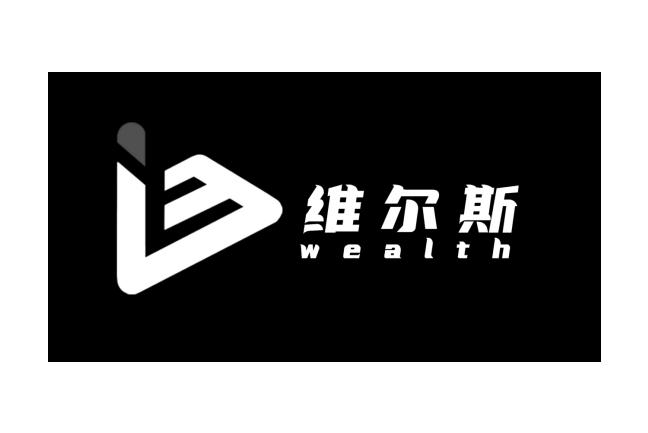 维尔斯 wealth申请被驳回不予受理等该商标已失效