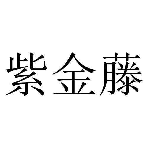 紫金藤