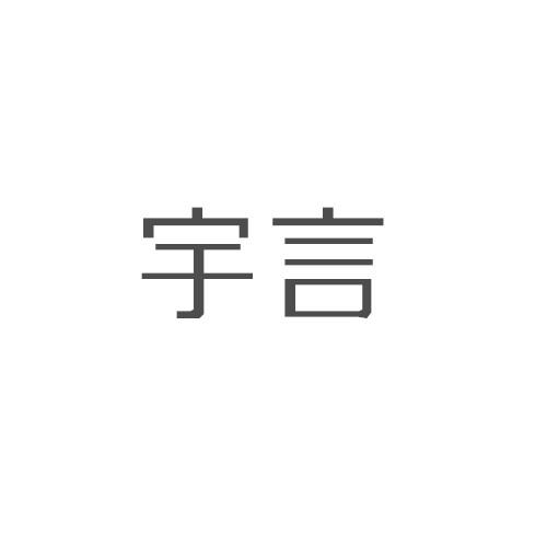 百利来嘉合商标事务所有限公司申请人:北京鑫宸诺德信息科技有限公司