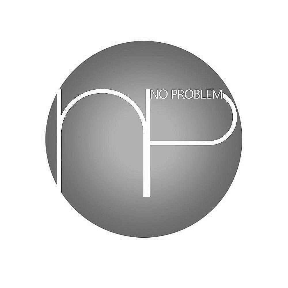 no  em>problem /em>  em>np /em>