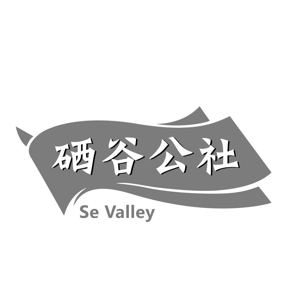 em>硒/em em>谷/em>公社 em>se/em valley