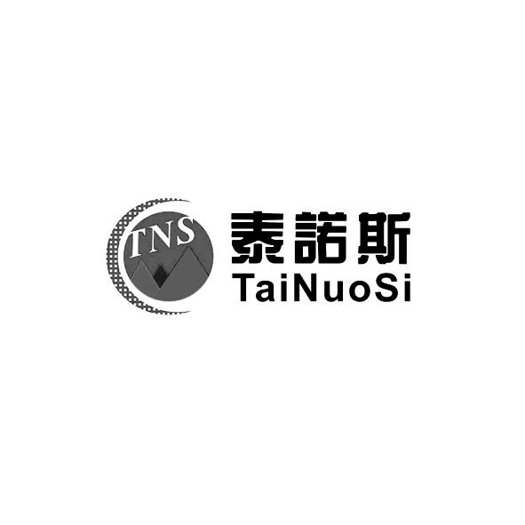 泰诺斯 tns