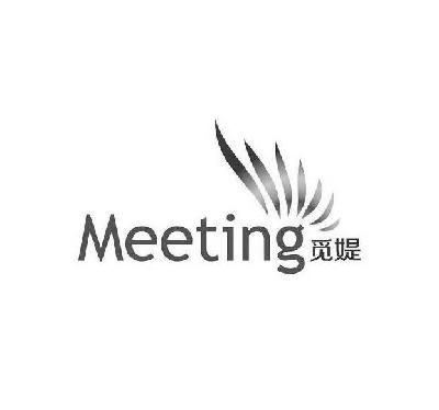 觅媞meeting