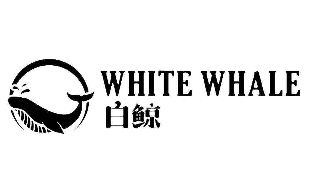 em>white/em em>whale/em em>白鲸/em>