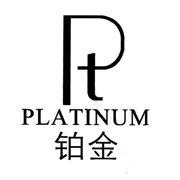 铂金 em>platinum/em em>pt/em>