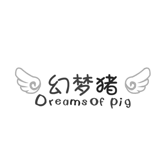 幻梦猪 dreams of pig