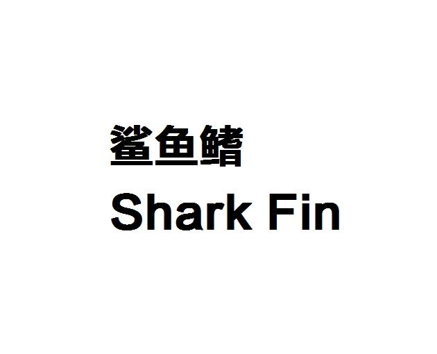  em>鲨鱼 /em> em>鳍 /em> shark fin