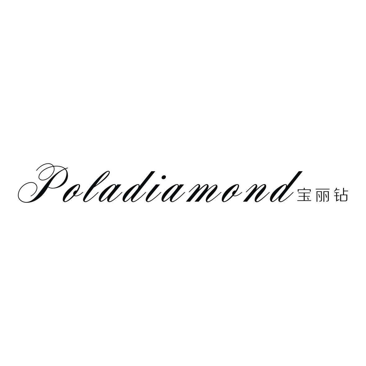 宝丽钻 poladiamond