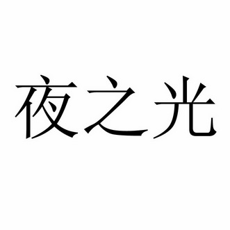 夜之光