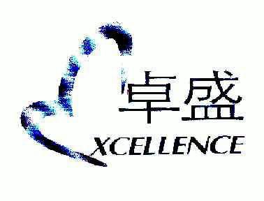 em>卓盛/em em>xcellence/em>