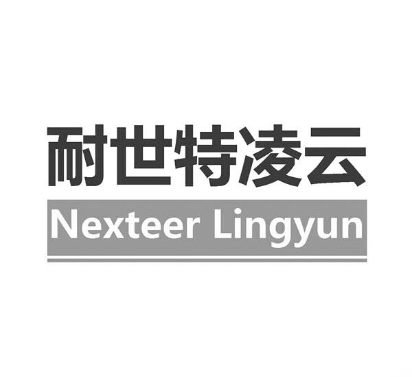 耐世特凌云 em>nexteer/em lingyun