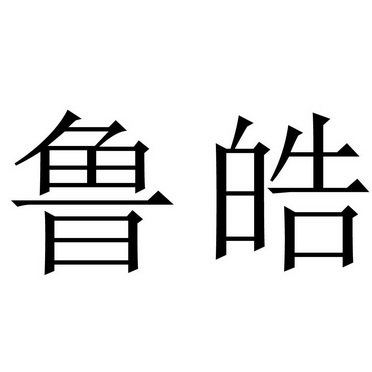 em>鲁皓/em>