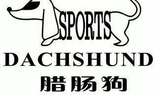 腊肠狗 dachshund sports