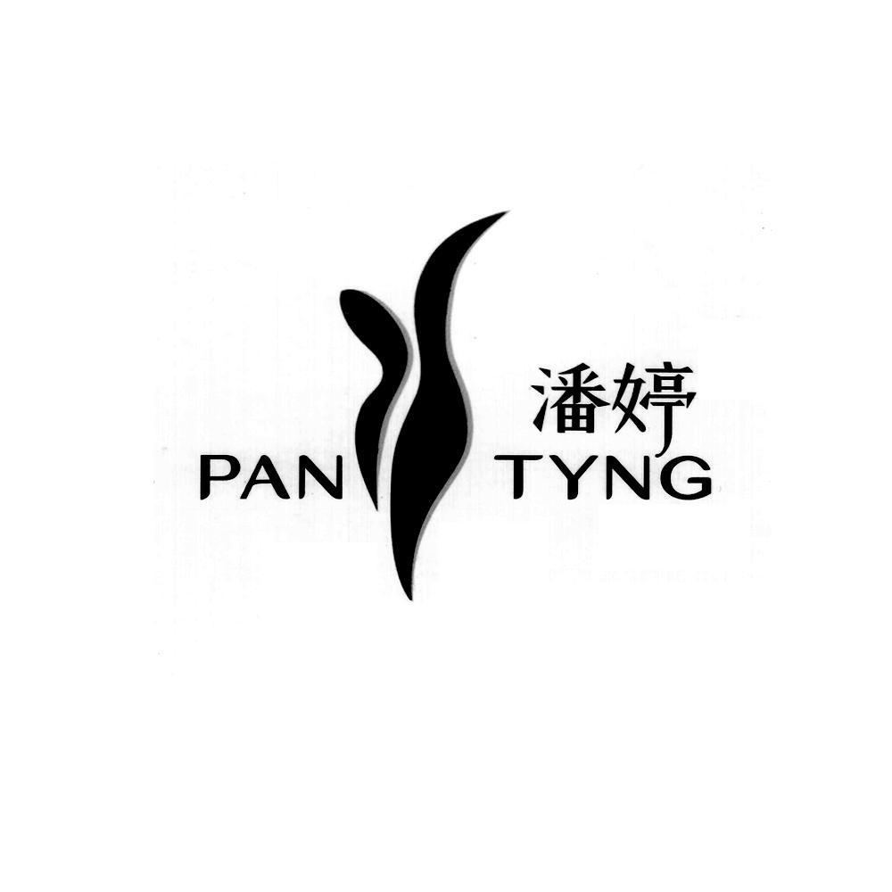 em>潘婷/em pan tyng