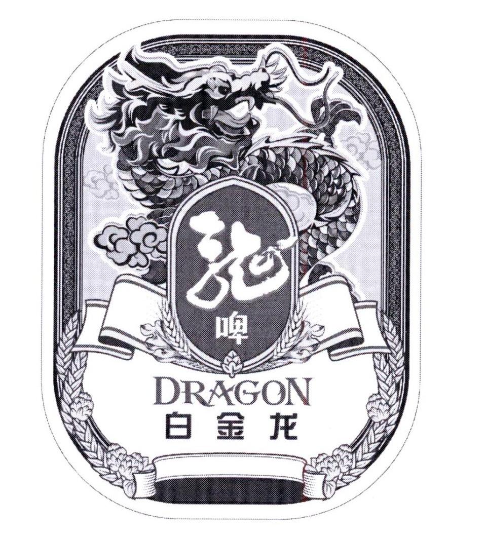 em>龙/em>啤 白金龙 dragon