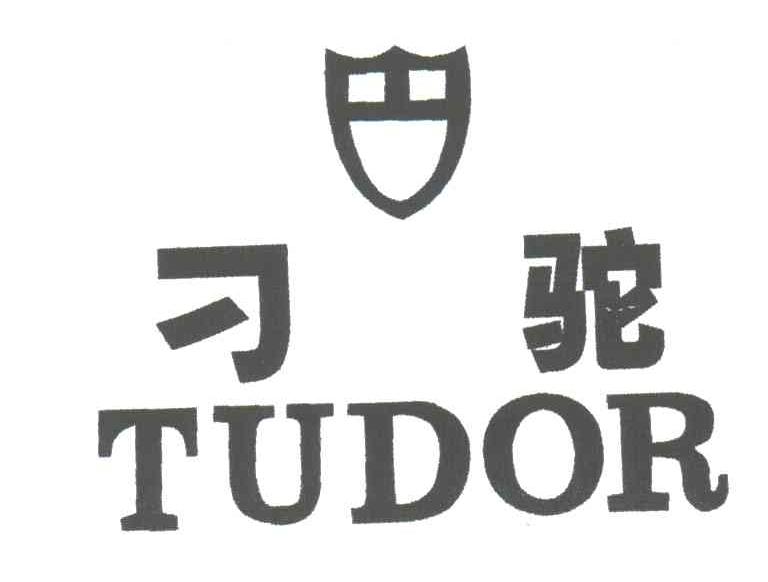 em>刁驼/em em>tudor/em>