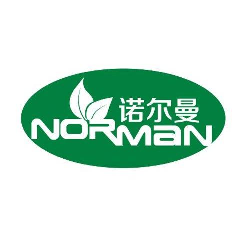 诺尔曼 norman