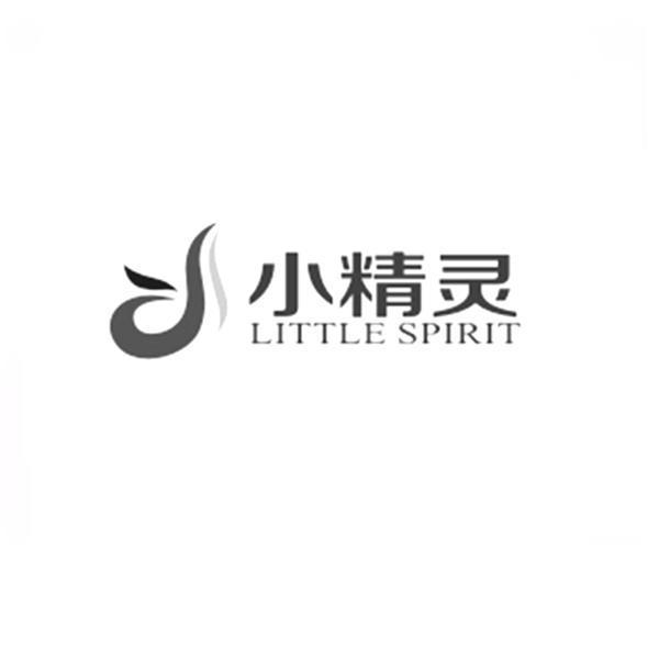 小精灵 em>little/em em>spirit/em>