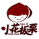 em>小花板栗/em>