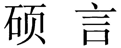 硕言