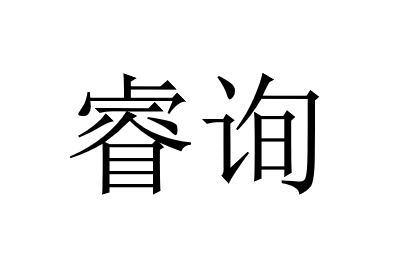 42类-网站服务商标申请人:陕西迅税通智能科技有限公司办理/代理机构