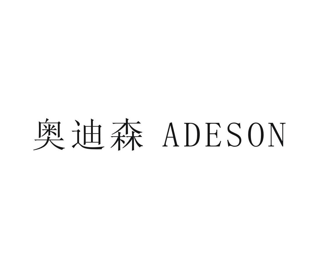 em>奥迪森/em adeson