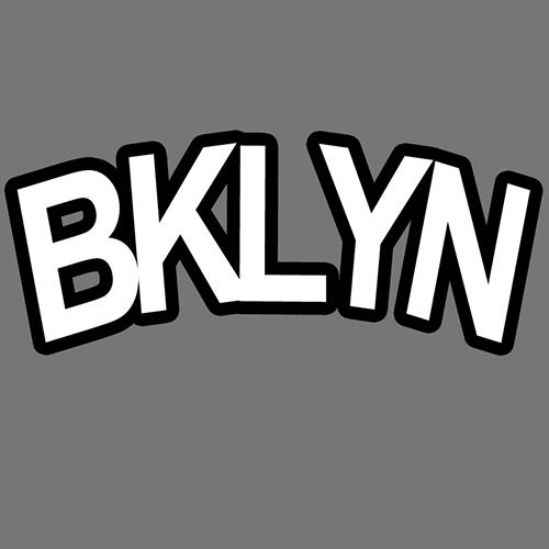 知域互联科技有限公司bklynnets商标注册申请申请/注册号:53891930申