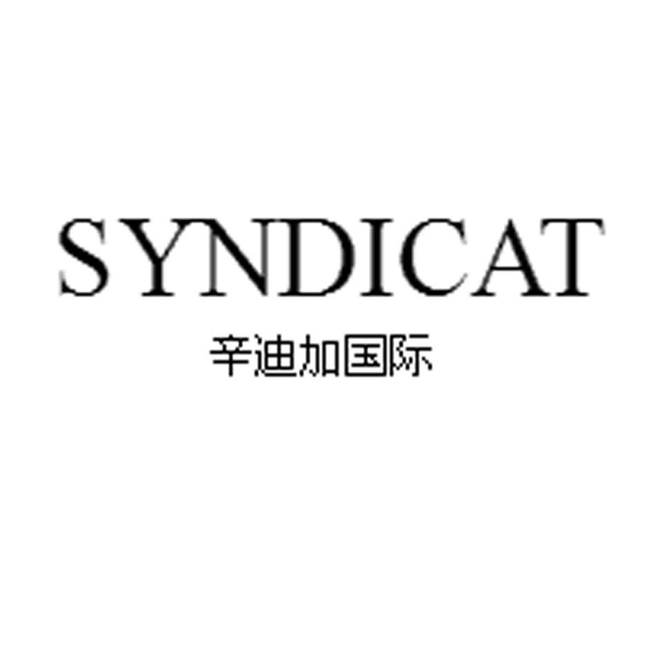 辛迪加国际 em>syndicat/em>