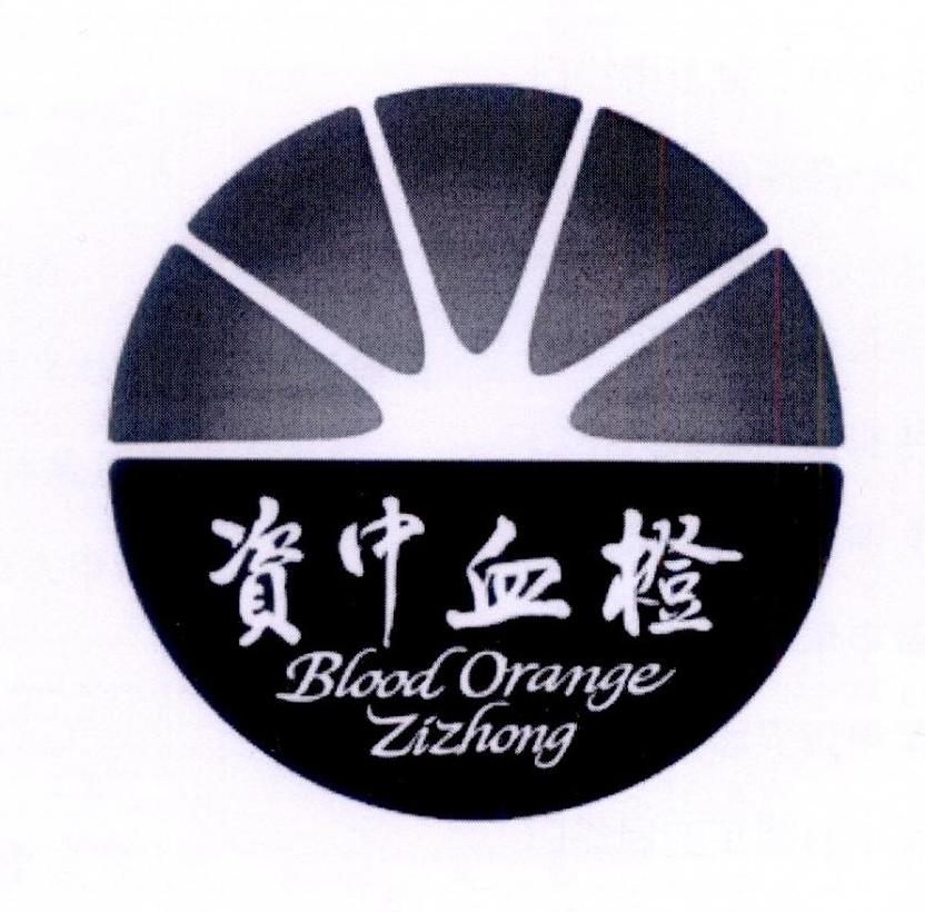 资中血橙 em>blood/em em>orange/em zizhong