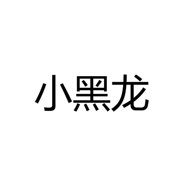  em>小黑龙 /em>