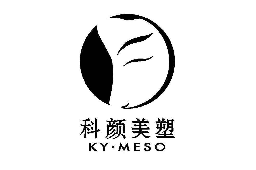 em>科颜美/em>塑 ky·meso