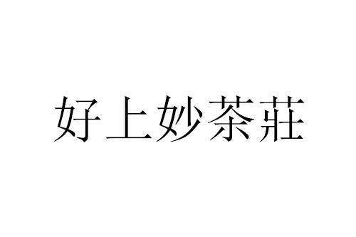 2020-12-21国际分类:第30类-方便食品商标申请人:文少华办理/代理机构