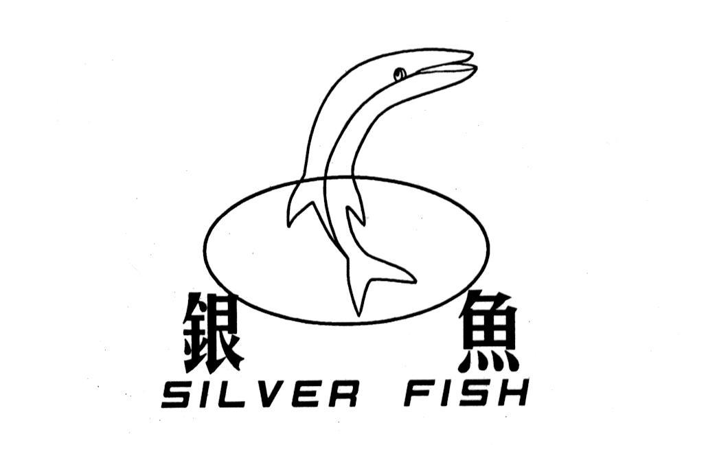 银鱼 em>silver/em em>fish/em>