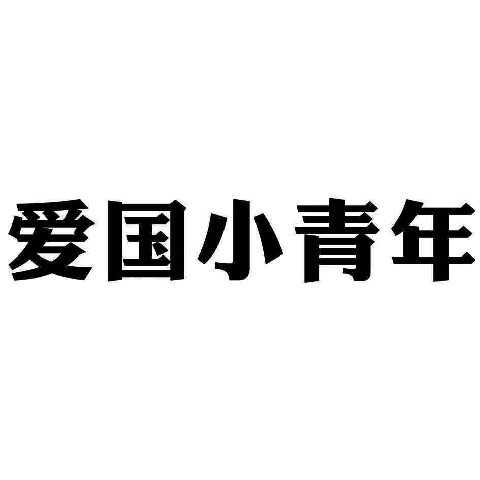  em>爱国 /em> em>小青年 /em>