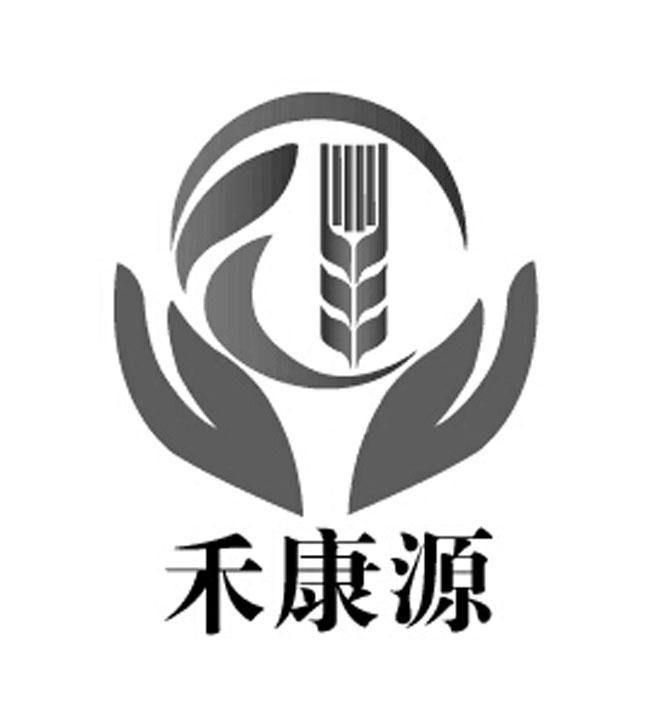 第31类-饲料种籽商标申请人:沈阳康盛源生态农产品实业有限公司办理