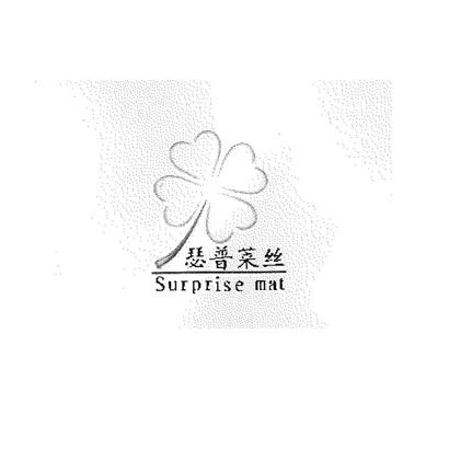 瑟 em>普莱丝/em surprise mat